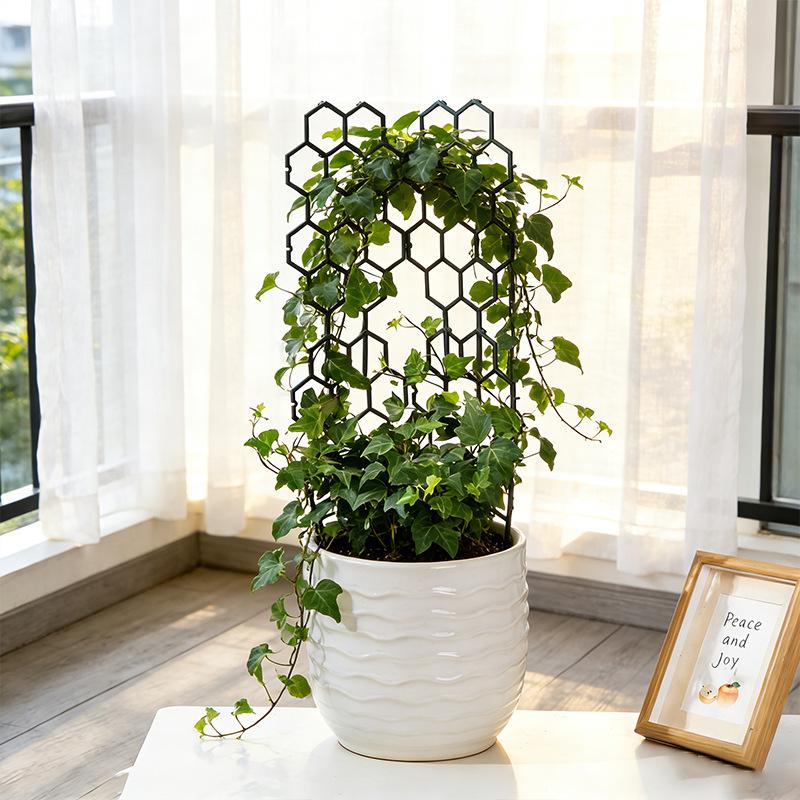 1/5Pcs Honeycomb Design Plant  - Vine Climbing Plastic recension och pris