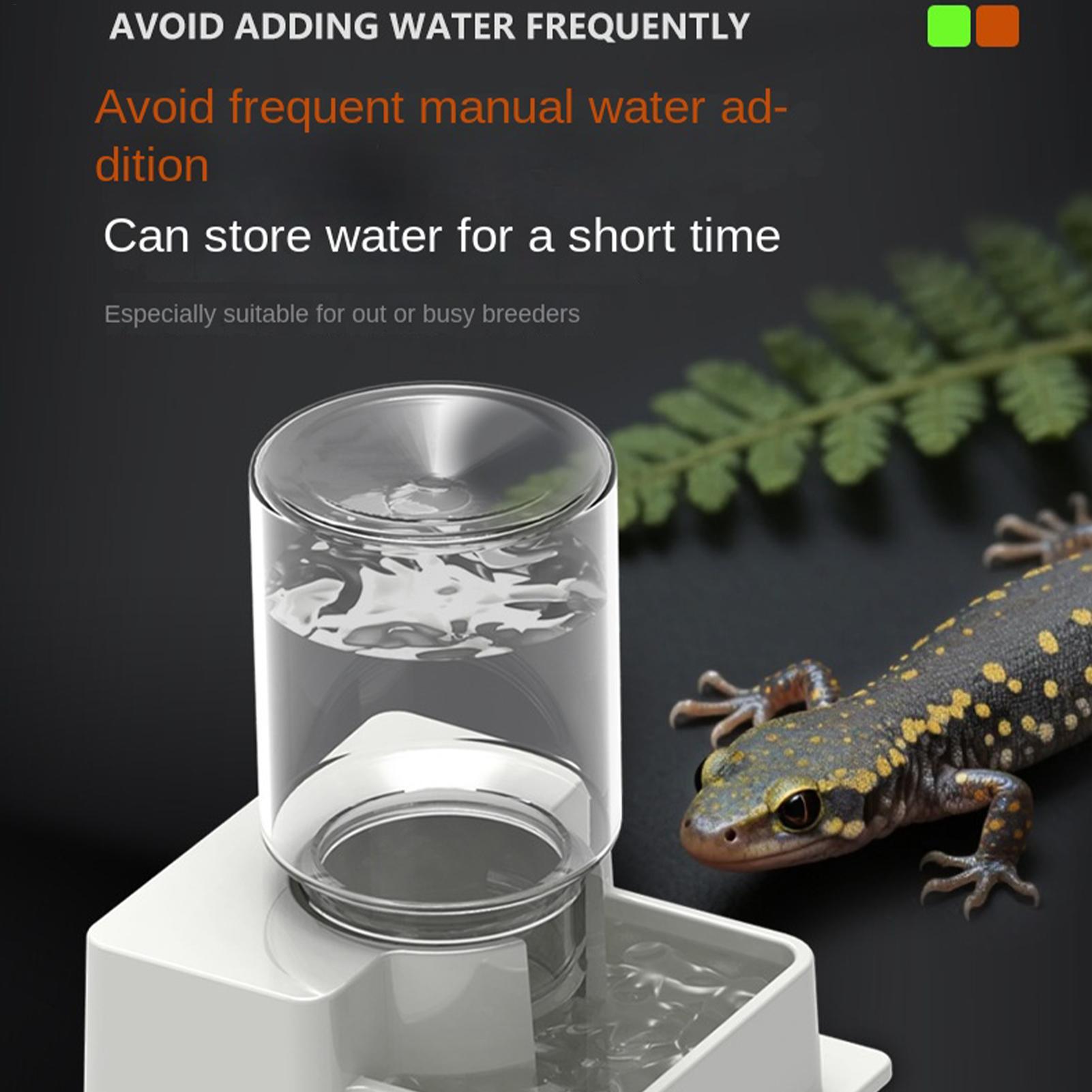 Bearded Dragon Water Fountain  - Water Dish Reptile recension och pris