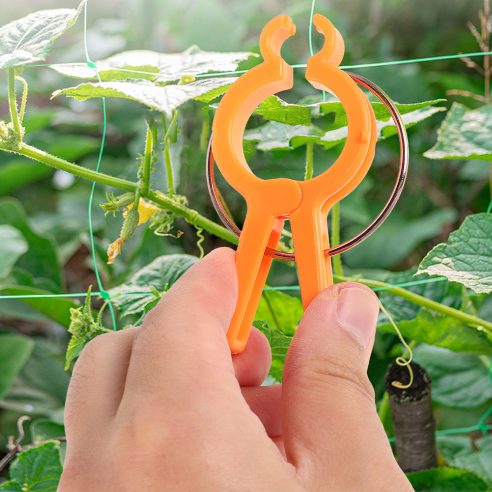 10Pcs Plant Fixing Clips Vine  - Vine Climbing Plastic recension och pris